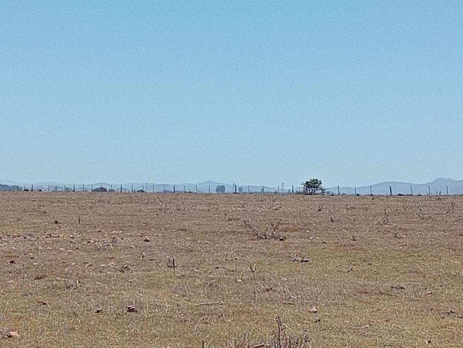 Commercial Property for Sale in Humansdorp Rural Eastern Cape